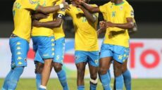 الجابون و إفريقيا الوسطى
