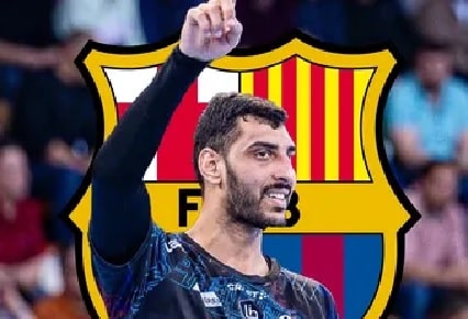 سيف الدرع