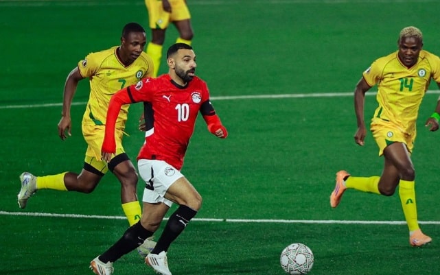 مصر و زيمبابوي