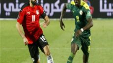 مصر والسنغال