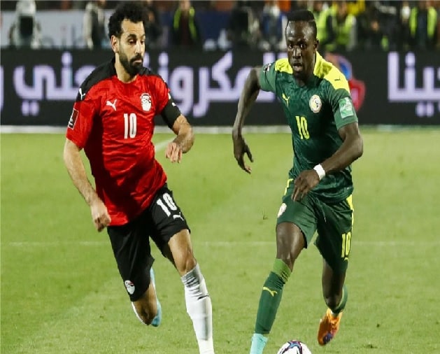 مصر والسنغال