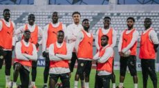 مصر والسنغال