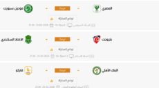 الدوري المصري