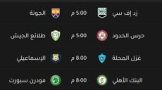 الدوري المصري